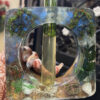 plant_vase_decor_and_lifestyle_3