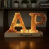 LED varmala preservation frame LED varmala preservation frame